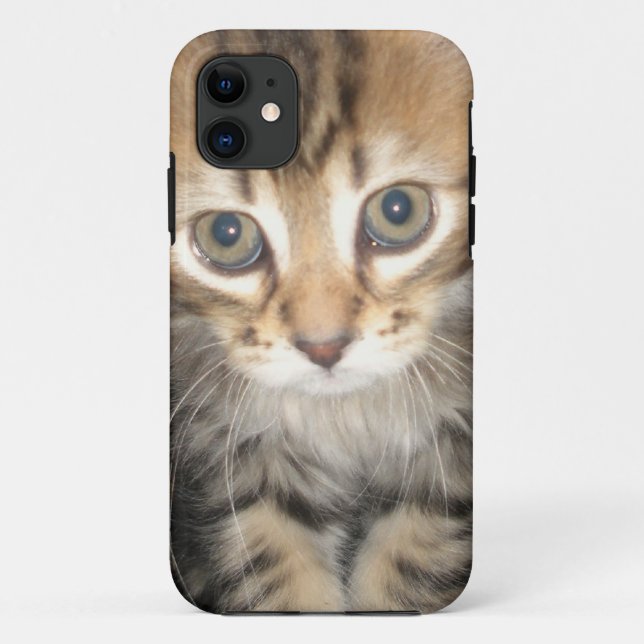 Coques Case-Mate iPhone Cas d'Iphone 5 - chaton (Dos)