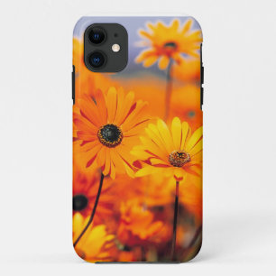 Coques Pour iPhone Cas universel d'Iphone 5 floraux