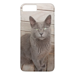 Case-Mate iPhone Case Cat