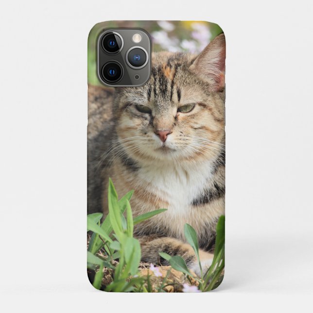 Coques Case-Mate iPhone Cat (Dos)
