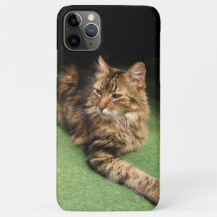 Coque iPhone 11 Pro Max Cat