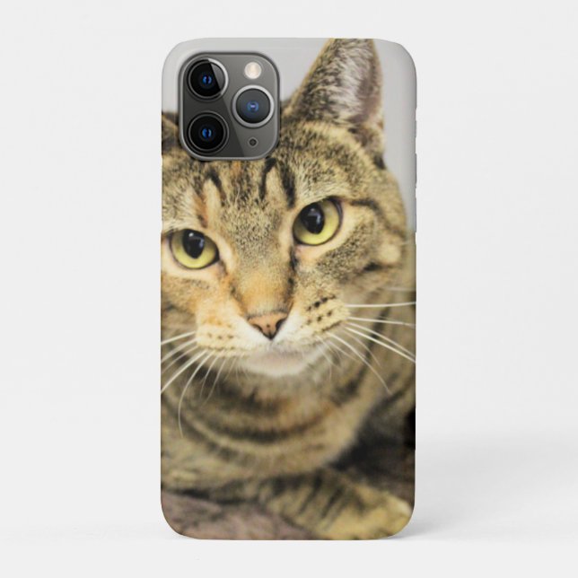 Coques Case-Mate iPhone Cat (Dos)