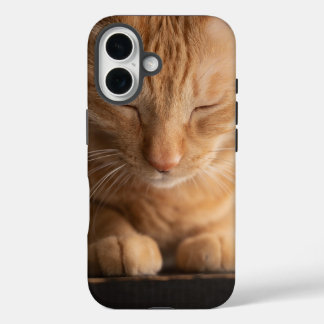 Coque Pour iPhone 16 Cat Apple Iphone 16 Case