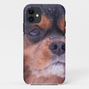 Coques Pour iPhone Cavalier King Charles Spaniel Flocon de neige