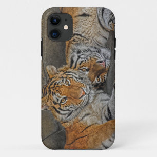 Coque Case-Mate iPhone Caverne de tigre