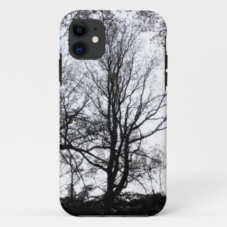 Coques Pour iPhone Central Park fin automne presque Barren Tree B&W