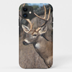 Case-Mate iPhone Case Cerf à queue blanche - couverture iPhone 5