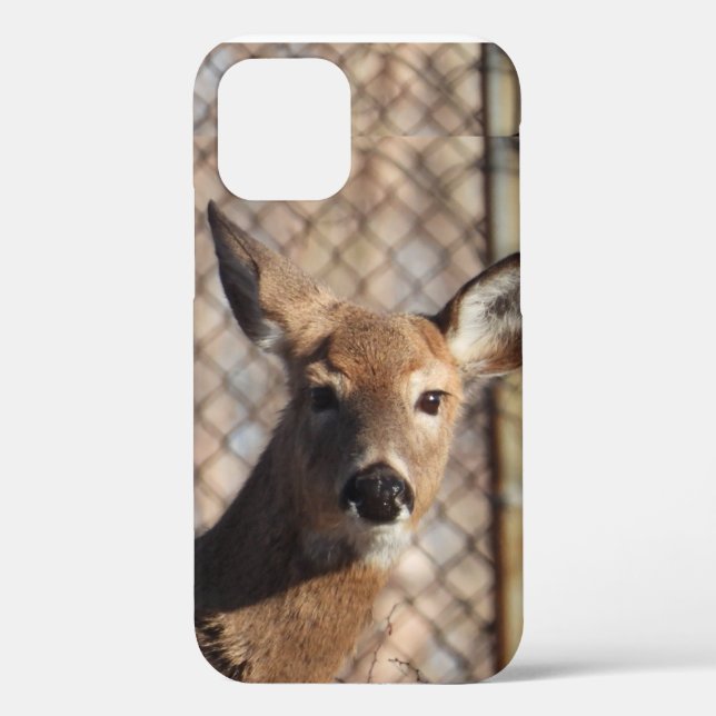 Coques Case-Mate iPhone Cerf curieux dans les bois (Verso)