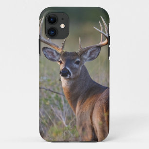 Coque Case-Mate Pour iPhone cerf de Virginie Odocoileus virginianus