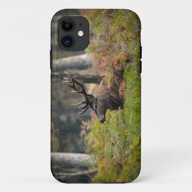Coques Case-Mate iPhone Cerf en forêt de fontainebleau (Dos)