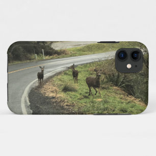 Case-Mate iPhone Case Cerf sur la route, Cap Déception, WA