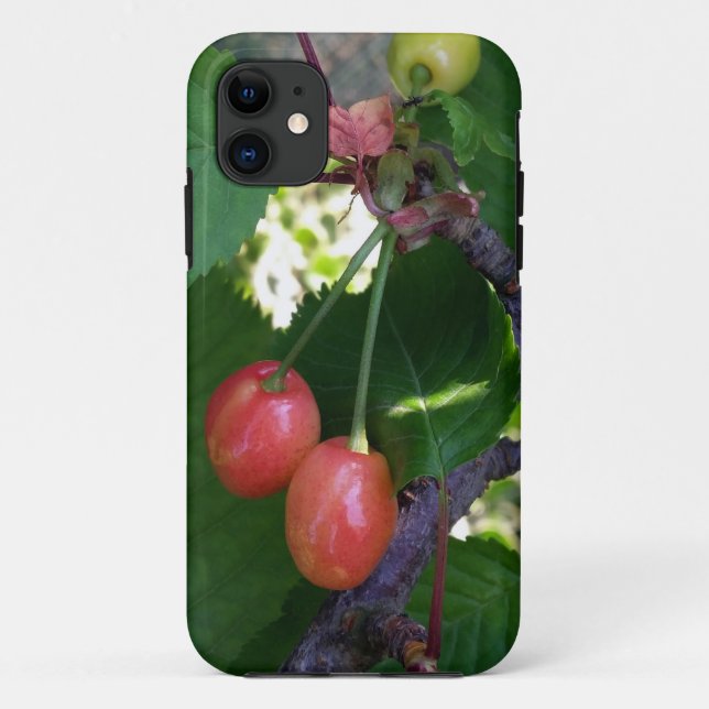 Coques Case-Mate iPhone Cerises rougissantes (Dos)