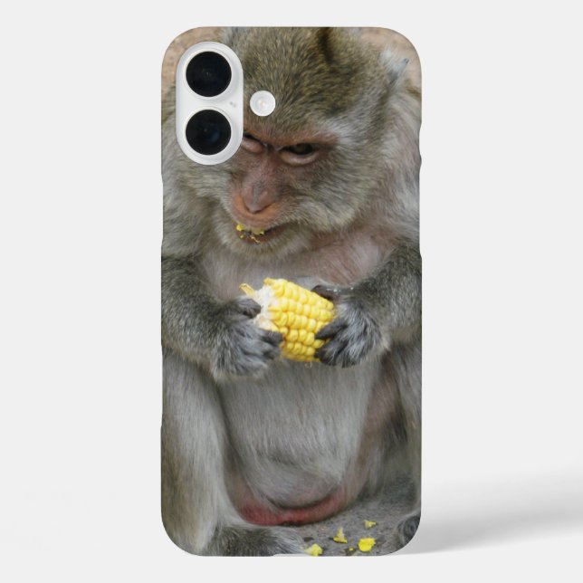 Coques Case-Mate iPhone C'est à moi ! ! ... Singe Macaque thaïlandais sauv (Verso)