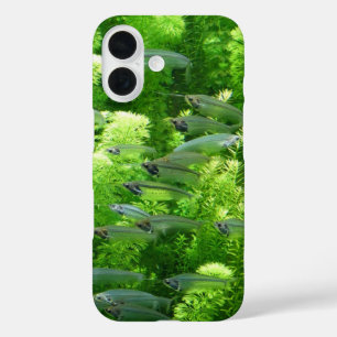 Coque Pour iPhone 16 Chalet de poisson d'argent transparent