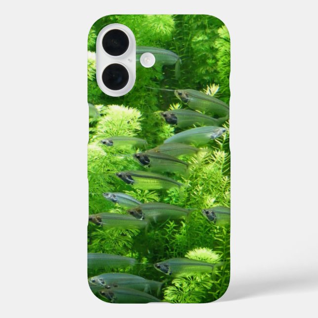 Coques Case-Mate iPhone Chalet de poisson d'argent transparent (Verso)