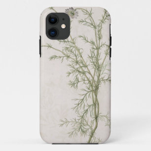 Coques Pour iPhone Chamaemelum Allioni nobile, c.1568