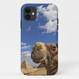 Coque Case-Mate iPhone Chameau devant les pyramides de Gizeh, Égypte,