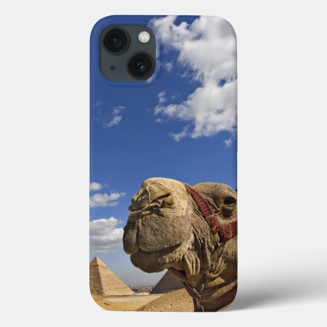 Coques Case-Mate iPhone Chameau devant les pyramides de Gizeh, Egypte, (Verso)
