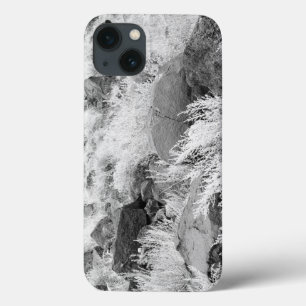Etui iPhone 13 Champ de Basalte