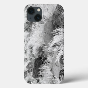 Coque Case-Mate iPhone Champ de Basalte