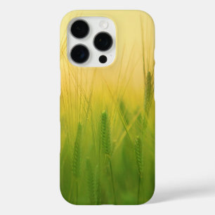 Coque iPhone 16 Pro Champ de blé vert avec ciel poussiéreux