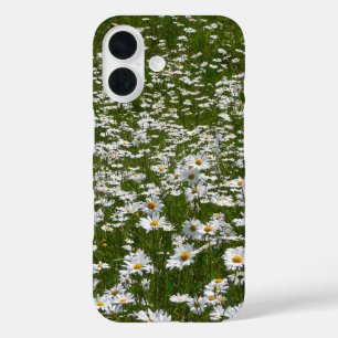 Coque Pour iPhone 16 Champ de marguerites Fleurs sauvages de l'Alaska