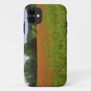 Coque iPhone 11 Champ de pavot, Chiusi, Italie