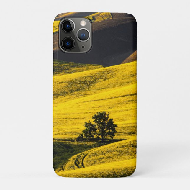 Coques Case-Mate iPhone Champ de prairie jaune dans le vent (Dos)