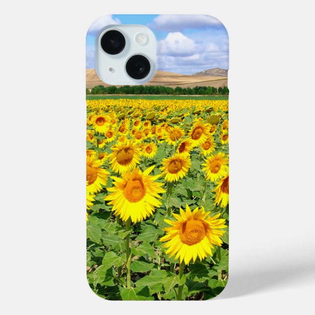 Coques Case-Mate iPhone Champ de tournesols (Verso)