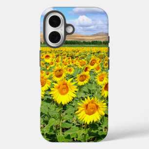 Coque Pour iPhone 16 Champ de tournesols