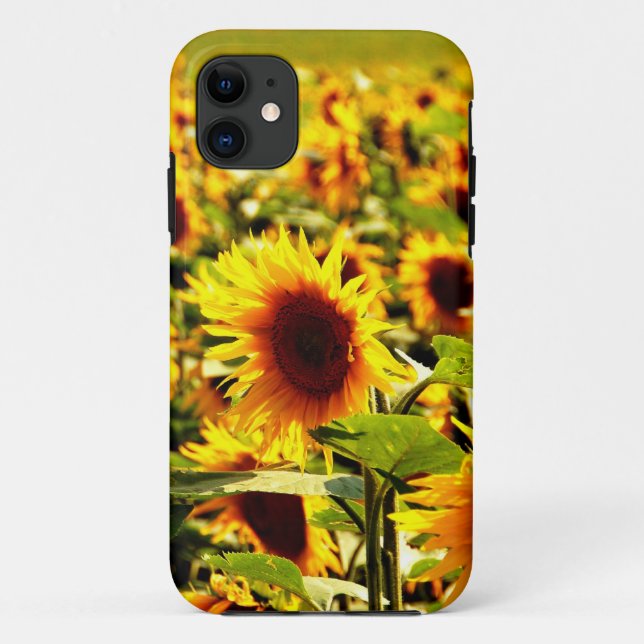 Coques Case-Mate iPhone Champ de tournesols (Dos)