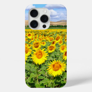 Coque Case-Mate iPhone Champ de tournesols