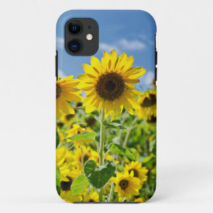 Coque Case-Mate iPhone Champ de tournesols