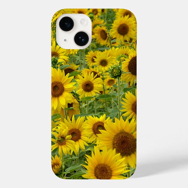 Coques Case-Mate iPhone Champ de tournesols jaunes (Verso)