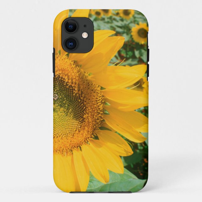 Coques Case-Mate iPhone Champ de tournesols. Région de Heidleberg (Dos)