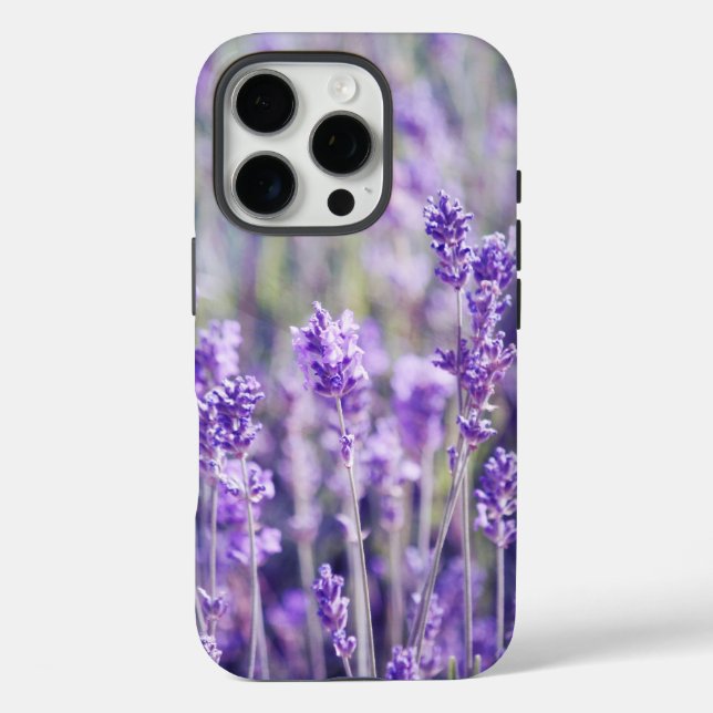 Coques Case-Mate iPhone Champ Lavande violette (Verso)
