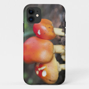 Coques Pour iPhone champignon de la famille des Amanita