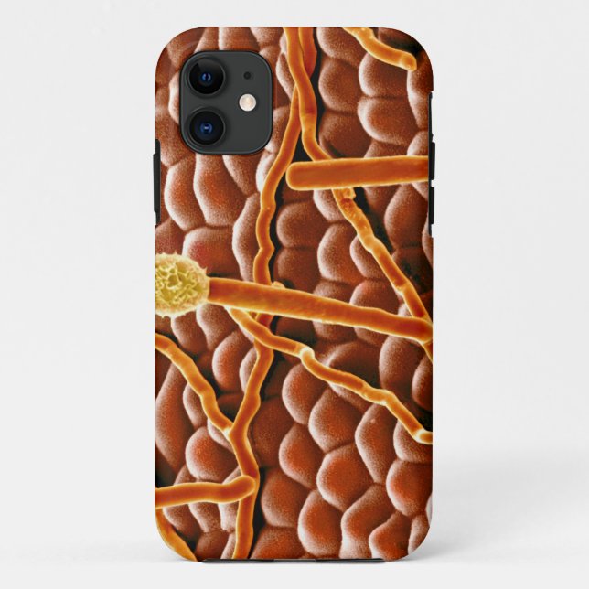 Coques Case-Mate iPhone Champignon de rouille pulvérulente sur la (Dos)