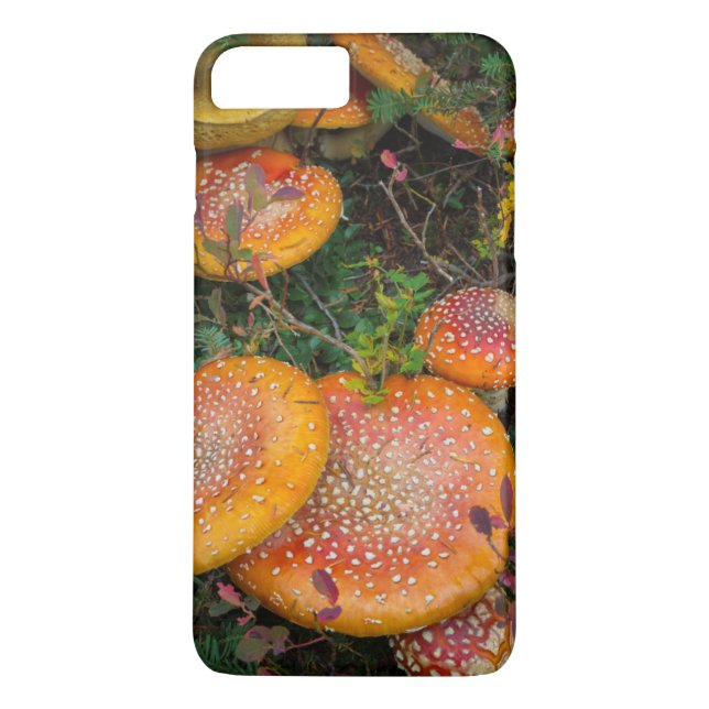 Coques Case-Mate iPhone Champignons amanites tue-mouches au lac Mowich (Dos)