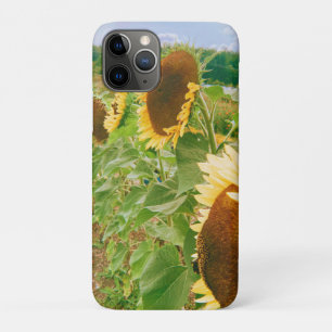 Case-Mate iPhone Case Champs de tournesol