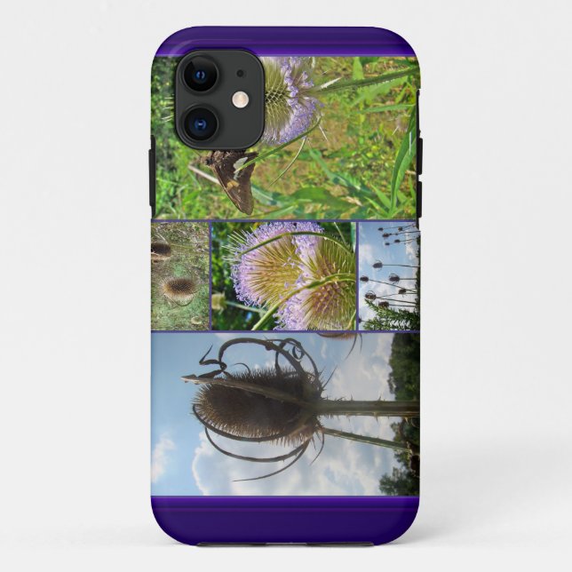 Coques Case-Mate iPhone Chardon de leville - Dipsacus fullonum (Dos)