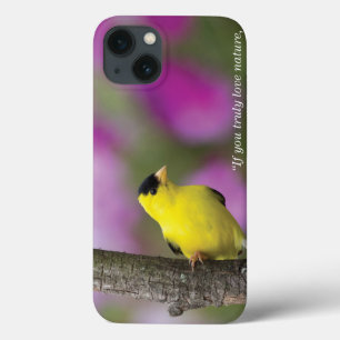 Coques Pour iPhone Chardonneret