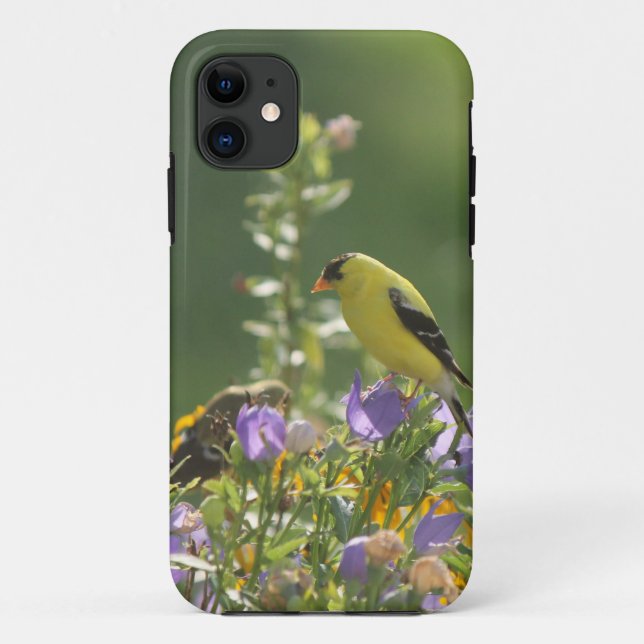 Coques Case-Mate iPhone Chardonneret sur une fleur de campanule des lièvre (Dos)