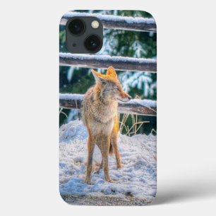 iPhone 13 Case Chasse au coyote dans la neige sur Ranch - Photo F