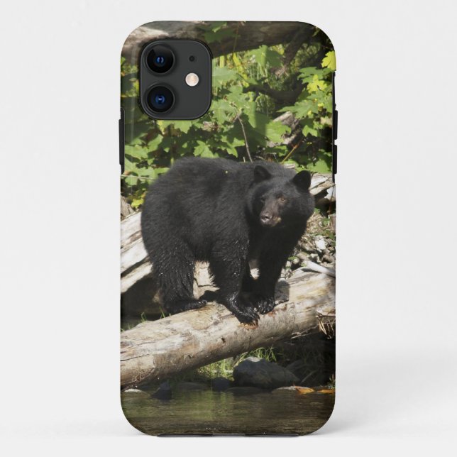 Coques Case-Mate iPhone Chasse Ours Noir Sauvage Photo Faune (Dos)