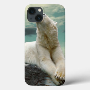 Case-Mate iPhone Case Chasseur blanc d'ours blanc sur la roche