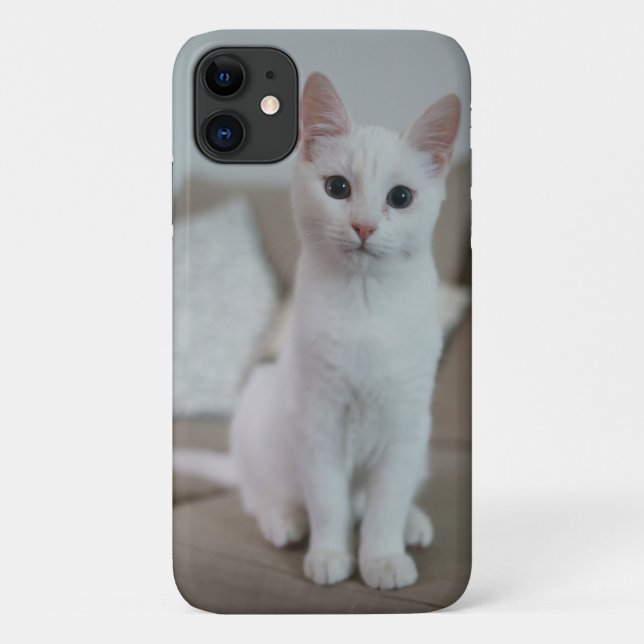 Coques Case-Mate iPhone chat américain à poil court blanc (Dos)