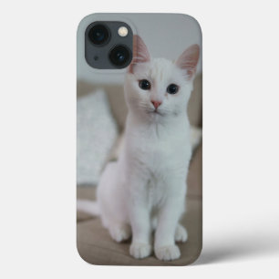 Case-Mate iPhone Case Chat américain à poil court blanc