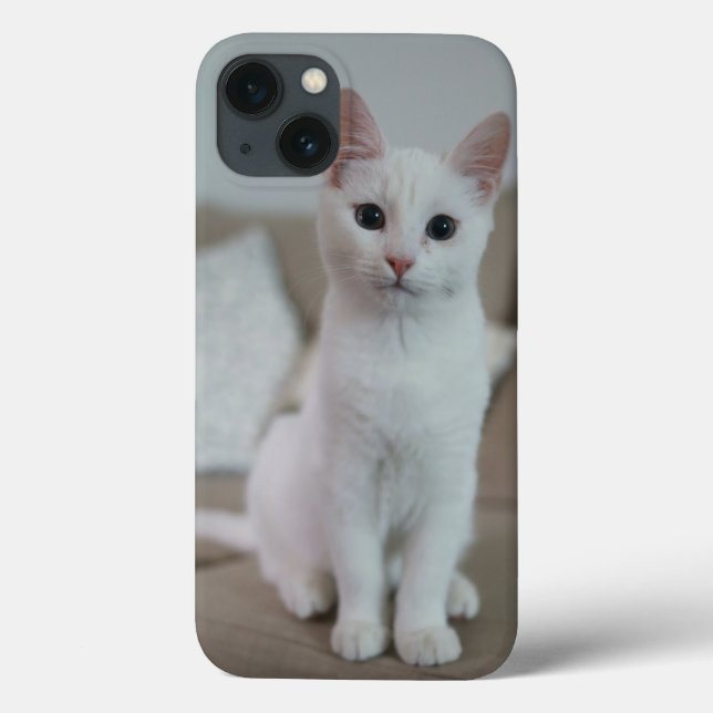 Coques Case-Mate iPhone Chat américain à poil court blanc (Verso)