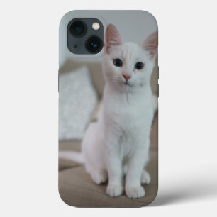 Case-Mate iPhone Case Chat américain à poil court blanc